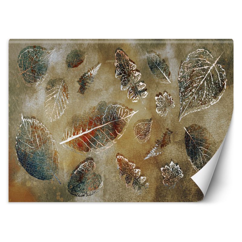 Fototapeta Feeby Liście w stylu vintage 250x175 1 szt