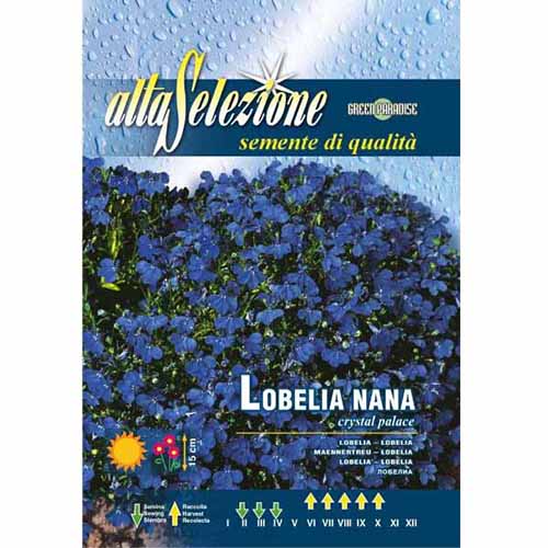 1 szt, Lobelia przylądkowa Crystal Palace Morami - Nasiona: Ilość w opakowaniu: 0.2 g