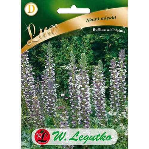 1 szt, Akant miękki - Nasiona: Ilość w opakowaniu: 2.5 g