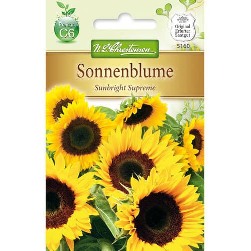 Słonecznik ozdobny Sunbright Supreme F1 - Nasiona. Ilość w opakowaniu: 1 opak - GradinaMax