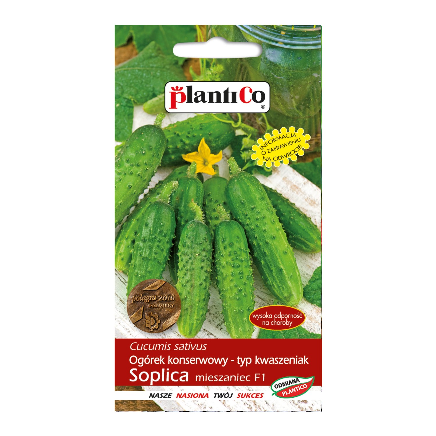 Ogórek gruntowy Soplica - 5 g