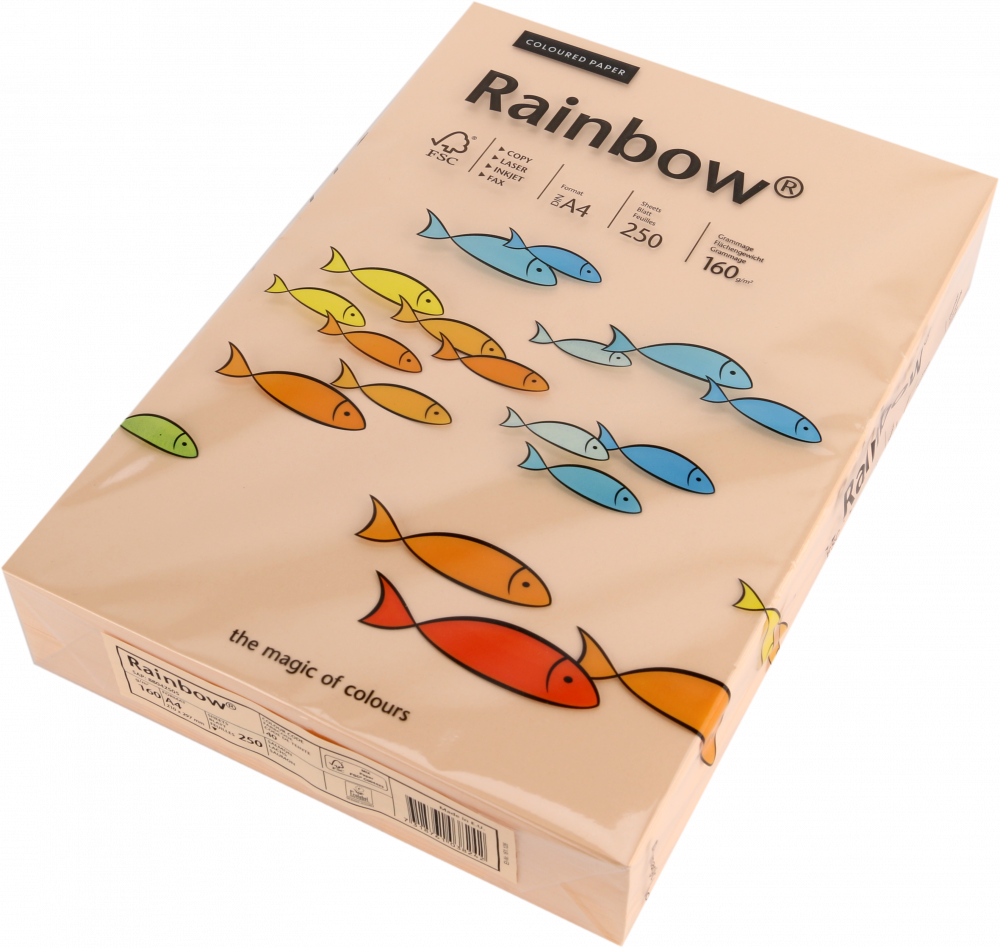 Papier kolorowy Rainbow, A4, 160g/m2, 250 arkuszy, łososiowy (R40)