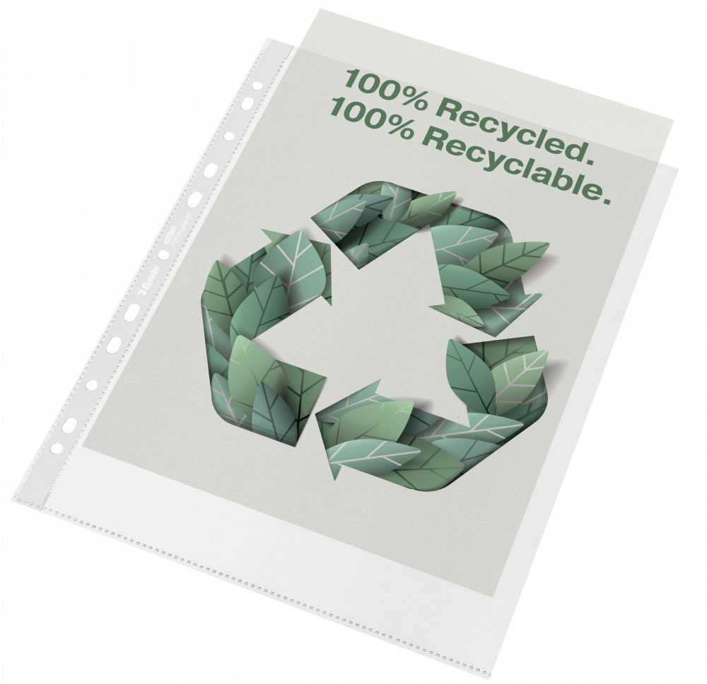 Koszulki groszkowe Esselte Recycle Premium, A4 maxi, 100 μm, 50 sztuk, transparentny