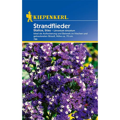 1 pac, Limonium sinuatum (Sărăturică) albastru - Semințe: Mod de ambalare: 1 pac