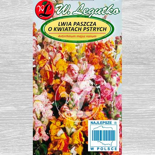 1 pac, Gura leului pitică Tutti Frutti, mix multicolor Legutko - Semințe: Mod de ambalare: 0.1 g