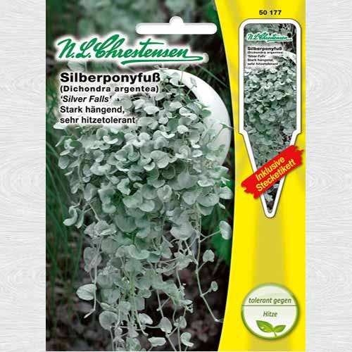 1 pac, Dichondra argentea Silver Falls - Semințe: Mod de ambalare: 1 pac