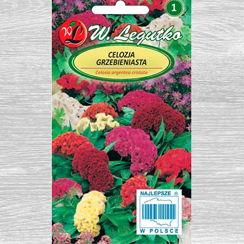 1 pac, Celosia, mix multicolor Legutko - Semințe: Mod de ambalare: 0.3 g