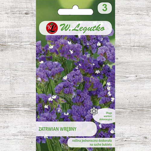 1 pac, Limonium sinuatum (Sărăturică violet Legutko - Semințe: Mod de ambalare: 0.3 g