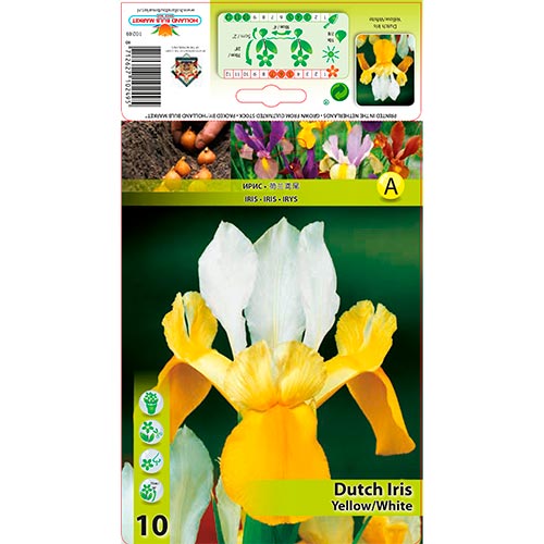 10 buc, Iris olandez White/Yellow - Bulbi: Mod de ambalare: 10 buc