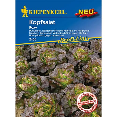 1 szt, Kopfsalat Roxy - Samen: Ilość w opakowaniu: 1 Stück