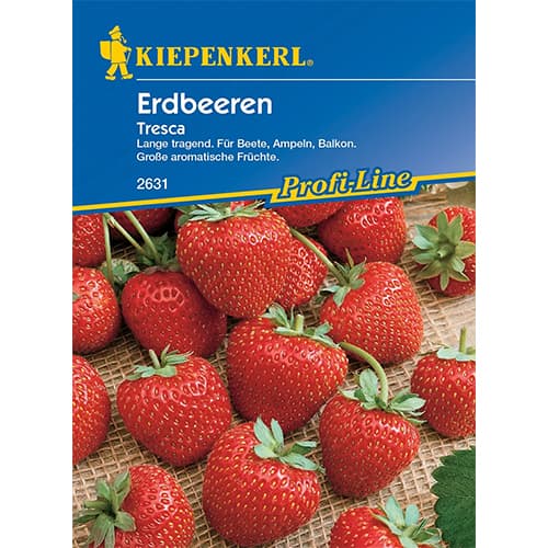 1 szt, Erdbeeren Tresca - Samen: Ilość w opakowaniu: 1 Stück
