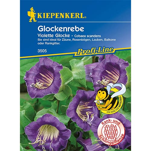 1 szt, Glockenrebe Violette Glocke - Samen: Ilość w opakowaniu: 1 Stück