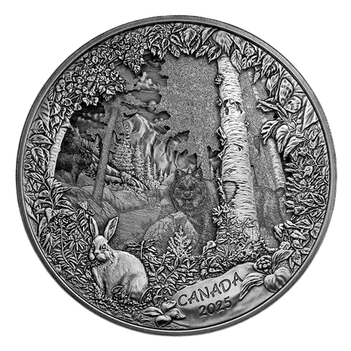 Srebrna moneta Predator or Prey in Shadow Box - wysyłka 24 h!