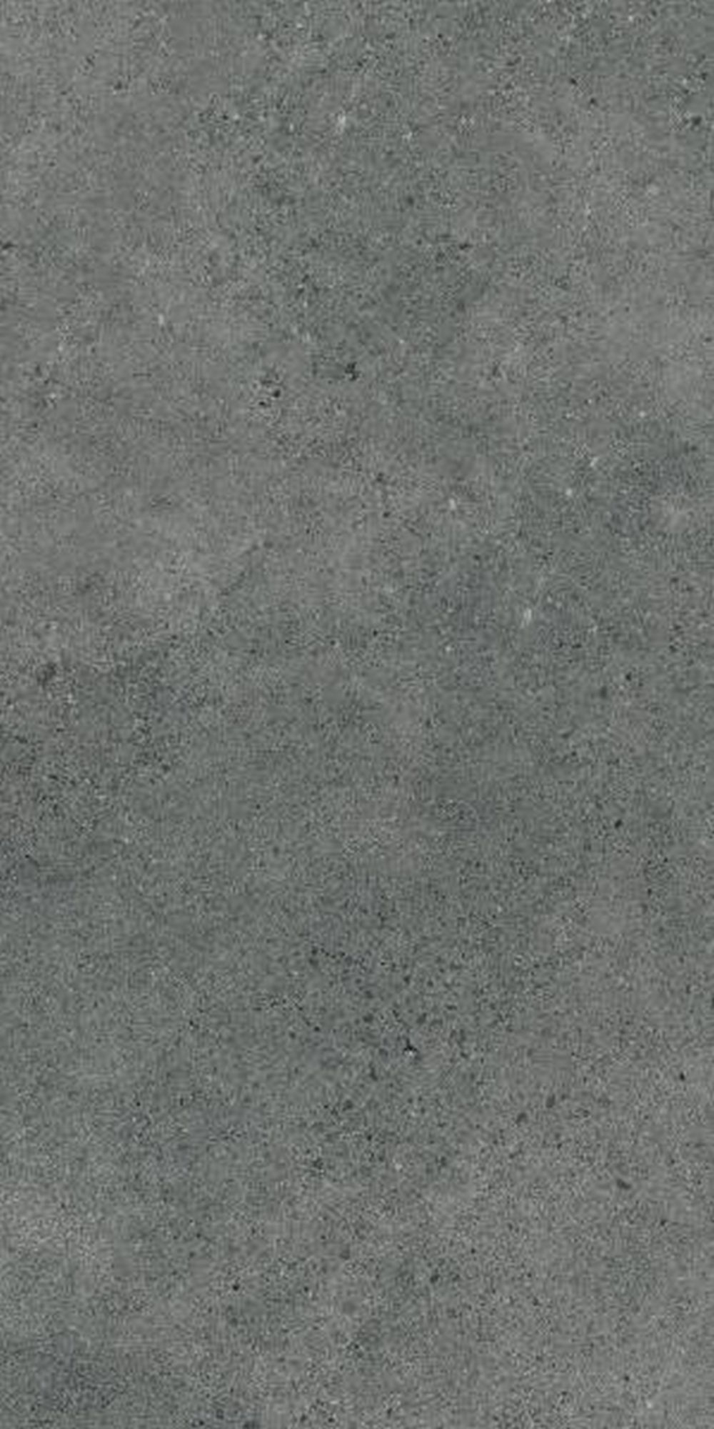 Paradyż Authority Graphite płytka ścienno-podłogowa 60x120 cm szary mat