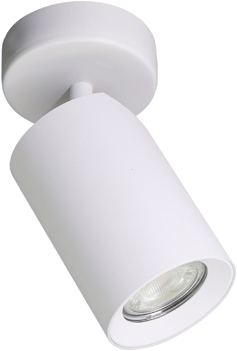 Zuma Line Tore lampa podsufitowa 1x50 W biała TLS006-WH