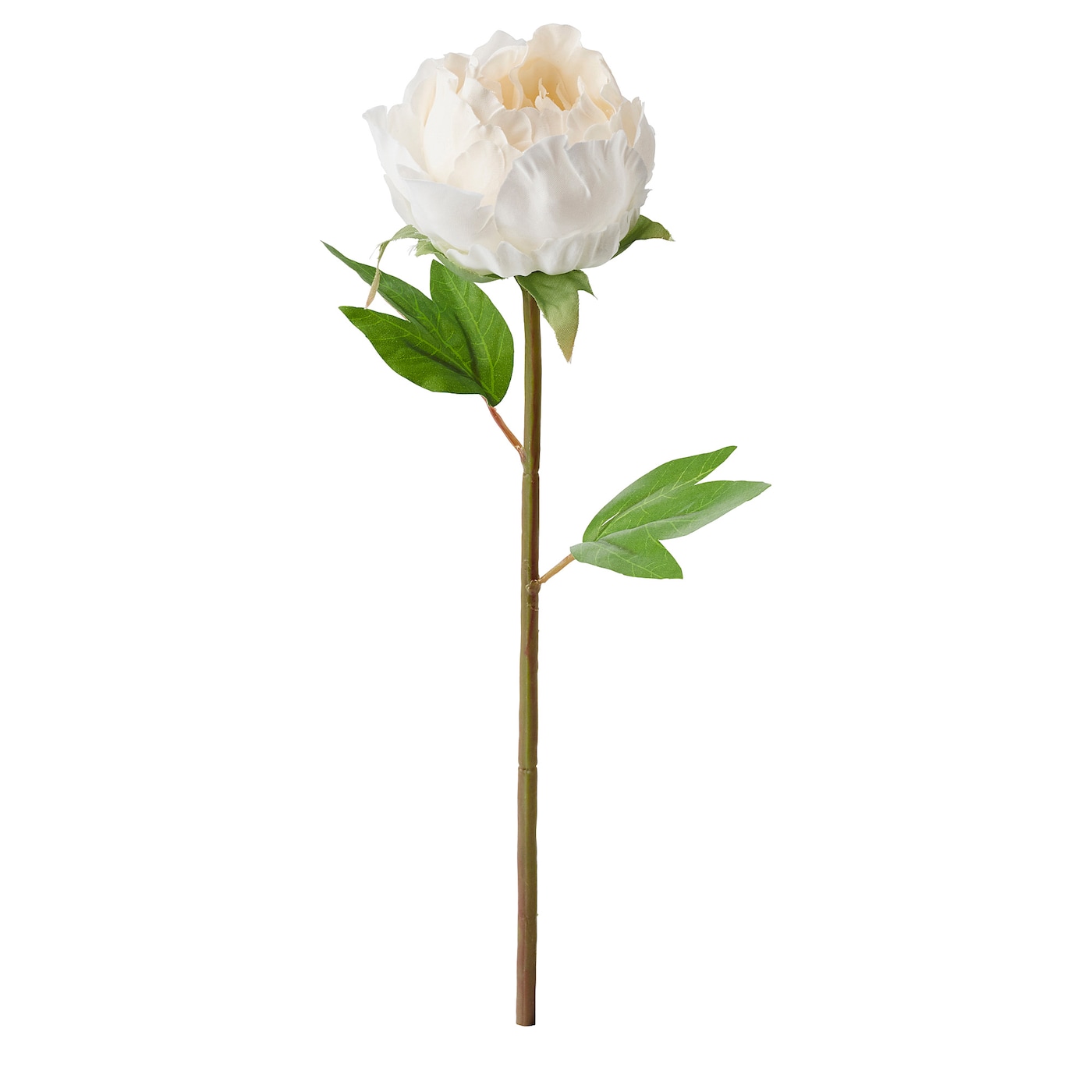 IKEA SMYCKA sztuczny kwiat, Piwonia/biały, 30 cm