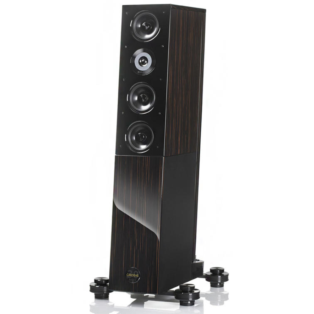 Kolumny podłogowe audio physic cardeas 30