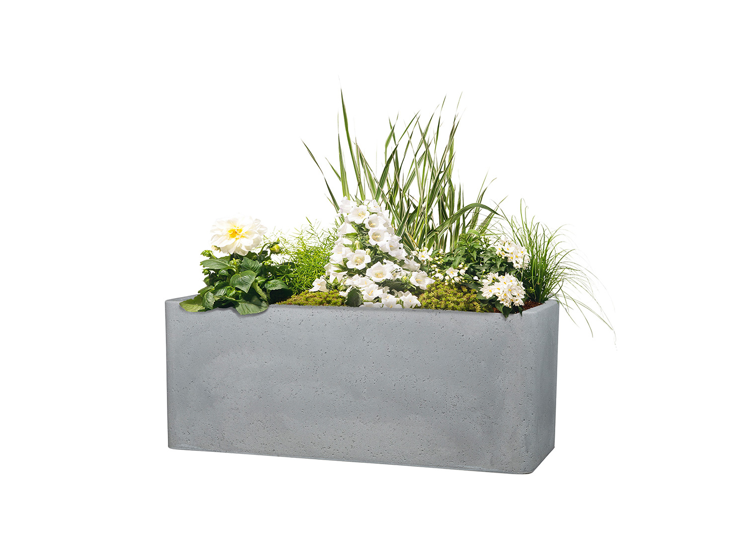 Scheurich Podłużna donica Cube Box Szary optyka betonu, Dł. 60 cm
