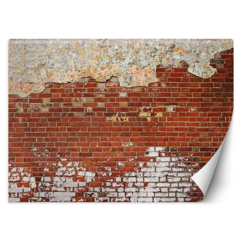 Fototapeta Feeby Cegła mur 100x70 1 szt
