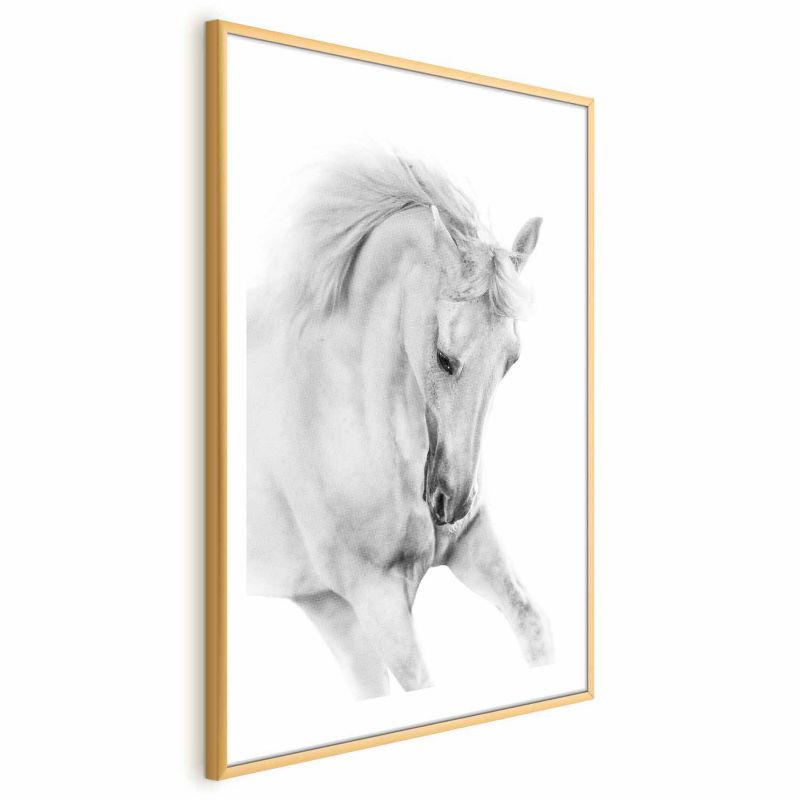 Plakat Artgeist Biały koń 21x30 cm z ramą złotą 1 szt