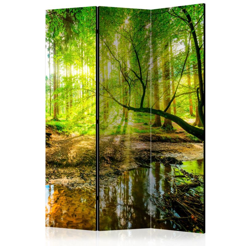 Parawan jednostronny Artgeist Pejzaże 135x172 cm Pejzaże 1 szt