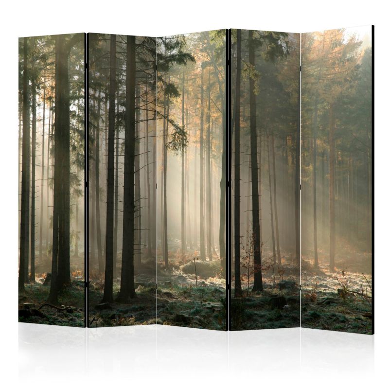 Parawan dwustronny Artgeist Pejzaże 225x172 cm Pejzaże 1 szt