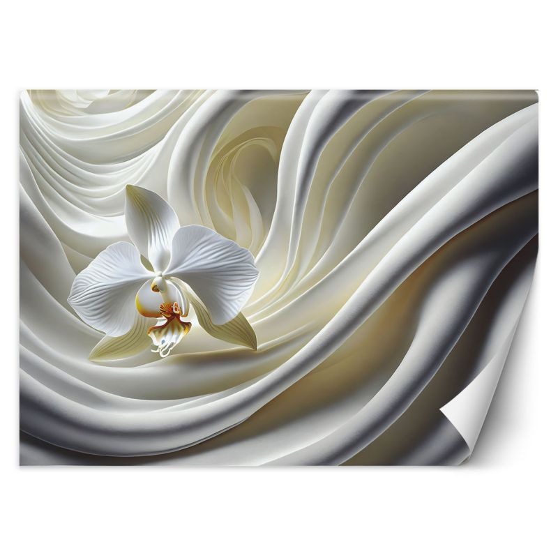 Fototapeta Feeby Biały Storczyk 100x70 1 szt