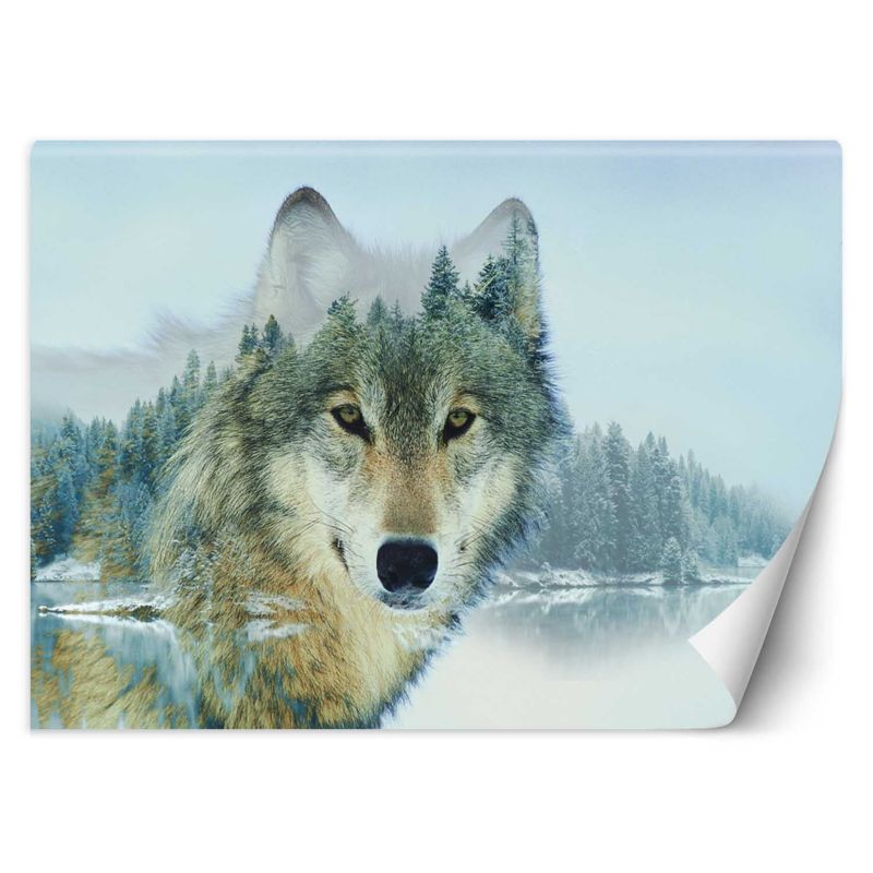 Fototapeta Feeby Wilk jezioro 200x140 1 szt