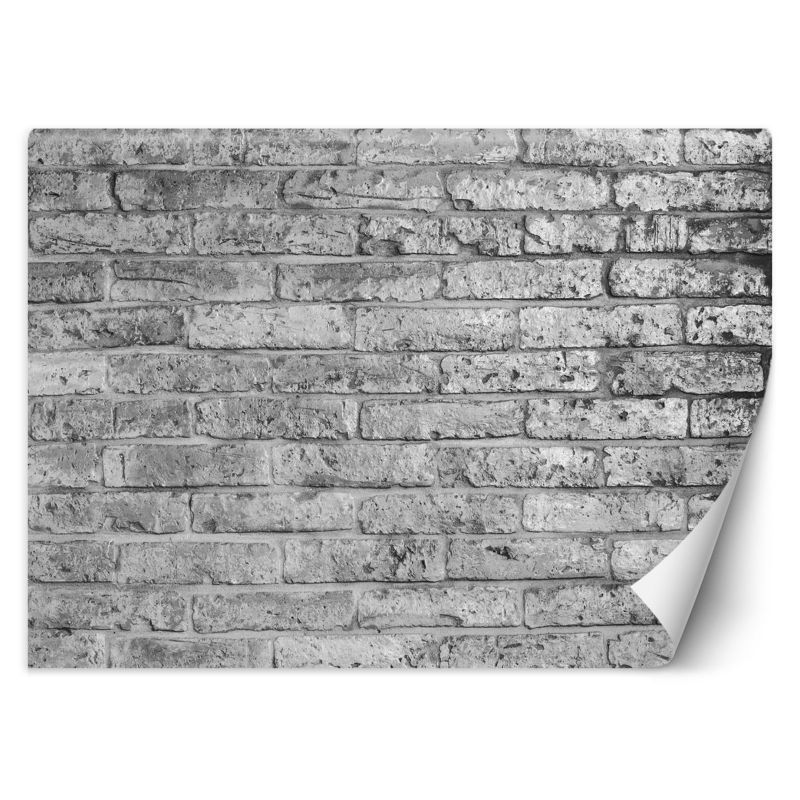 Fototapeta Feeby Mur z szarych cegieł 250x175 1 szt