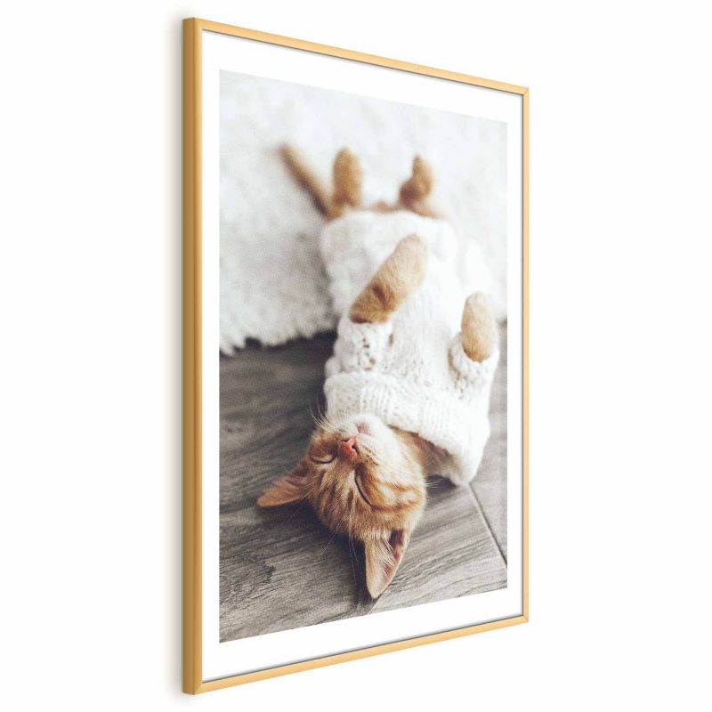 Plakat Artgeist Leniwy kot 29,7x42 cm z ramą złotą 1 szt