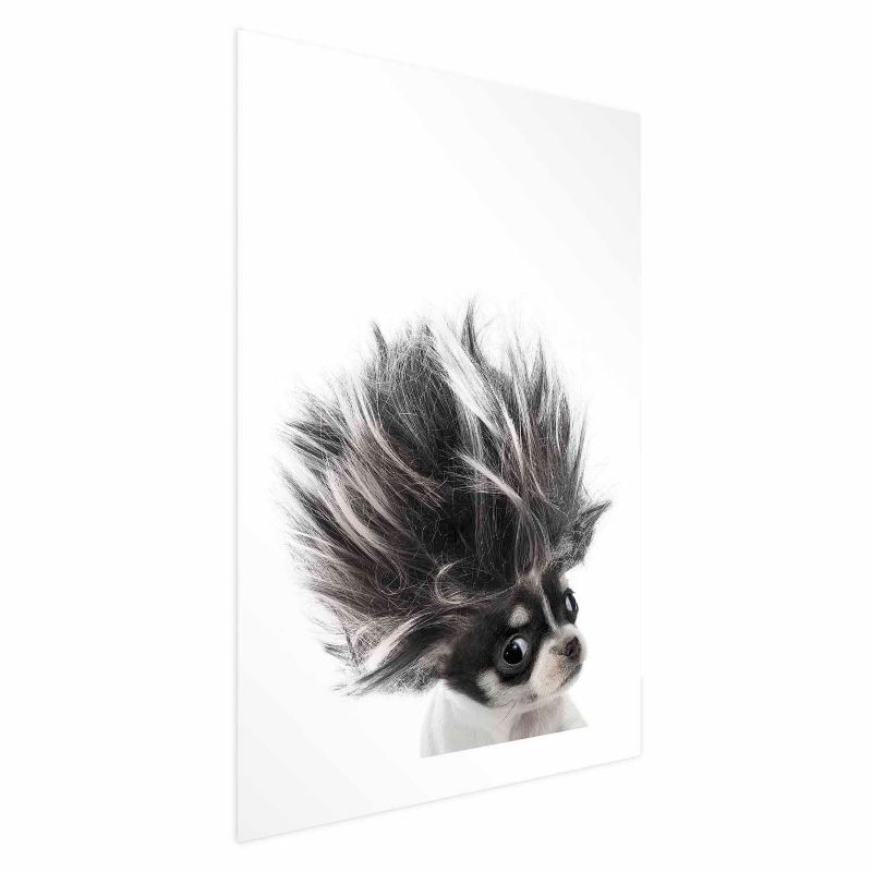 Plakat Artgeist Chihuahua 29,7x42 cm bez ramy 1 szt