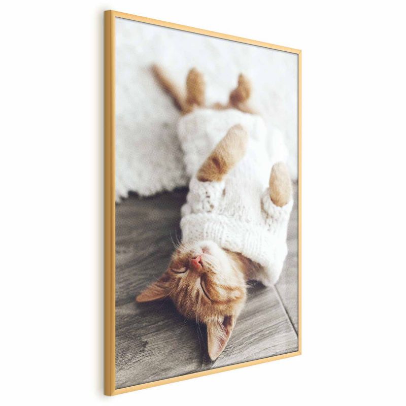 Plakat Artgeist Leniwy kot 29,7x42 cm z ramą złotą 1 szt