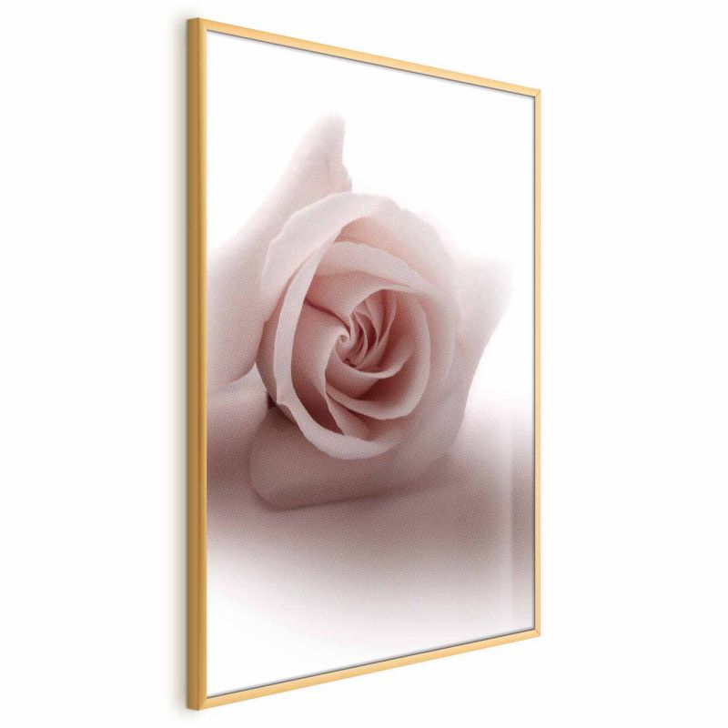 Plakat Artgeist Różany cień 29,7x42 cm z ramą złotą 1 szt