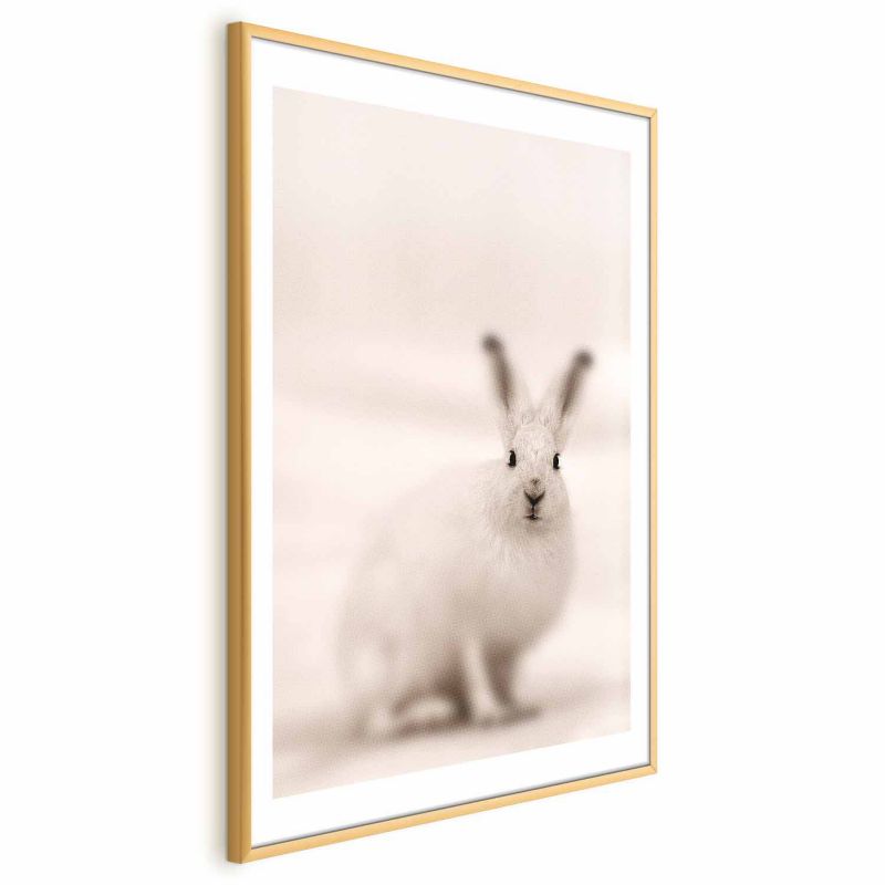 Plakat Artgeist Strachliwe spojrzenie 40x60 cm z ramą złotą 1 szt
