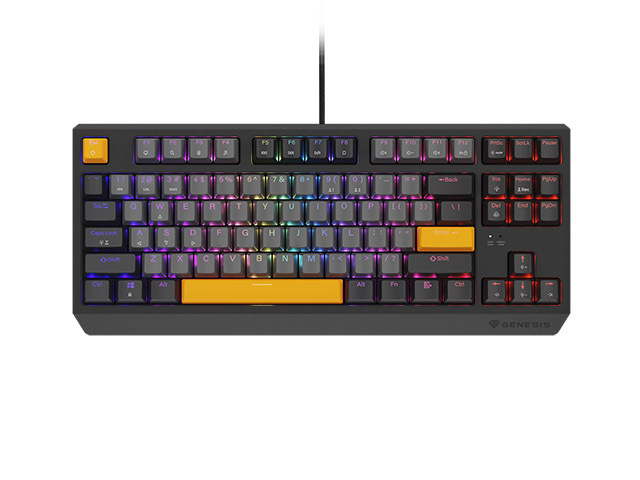 Thor 230 TKL ANCHOR GRAY NEGATIVE