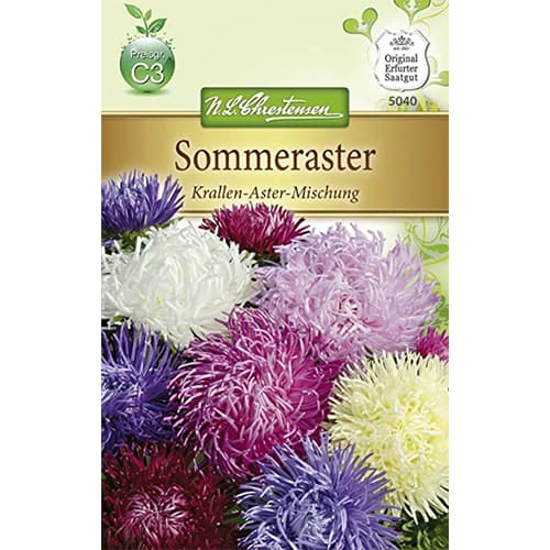 Aster pomponowy, mix - Nasiona. Ilość w opakowaniu: 1 opak - GradinaMax