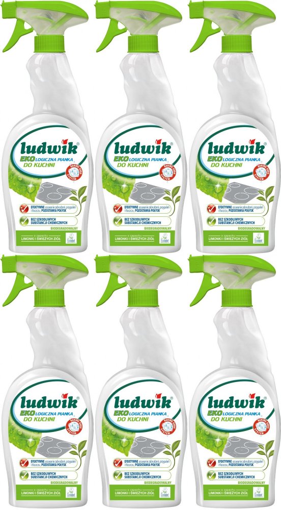 6x Pianka do czyszczenia kuchni Ludwik Ekologiczny, limonka i zioła, 750ml