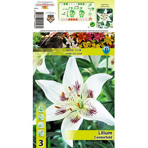 3 buc, Crin Centerfold - Bulbi: Mod de ambalare: 3 buc