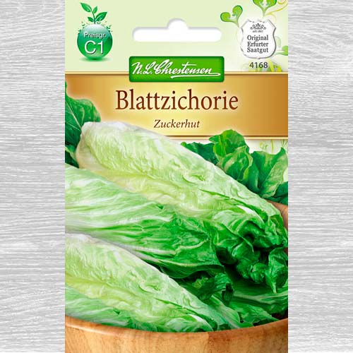 1 pac, Cicoare albă (radicchio) Zuckerhut - Semințe: Mod de ambalare: 1 pac