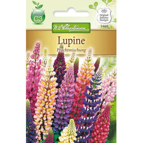 1 pac, Lupin cu flori mari, mix multicolor - Semințe: Mod de ambalare: 1 pac