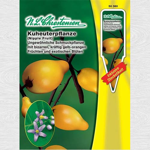 1 pac, Solanum mammosum - Semințe: Mod de ambalare: 1 pac