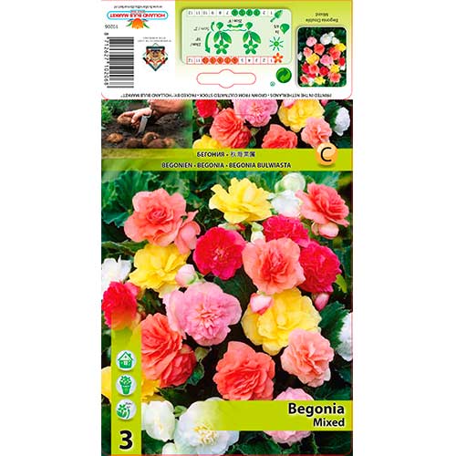 3 buc, Begonie Double mix multicolor - Bulbi: Mod de ambalare: 3 buc