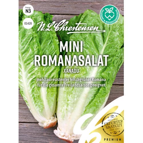 1 szt, Mini Romanasalat Xanadu - Samen: Ilość w opakowaniu: 1 Stück