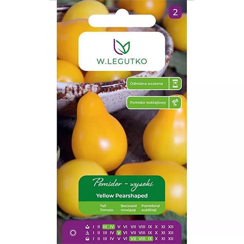 1 szt, Tomate Yellow Pearshaped Legutko - Samen: Ilość w opakowaniu: 0.2 g