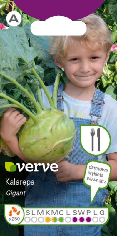 Nasiona kalarepa Gigant Verve