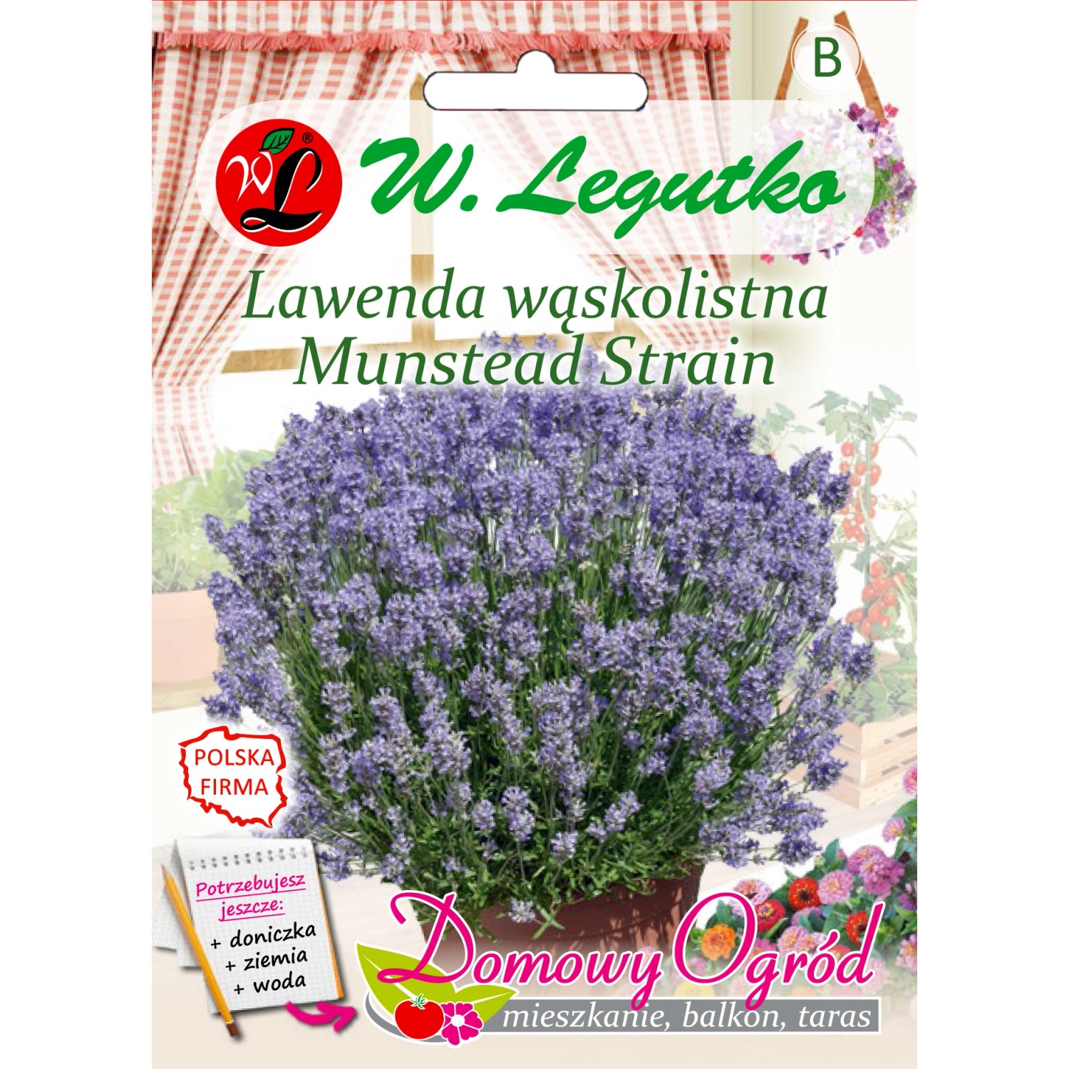 Lawenda wąskolistna Munstead Strain