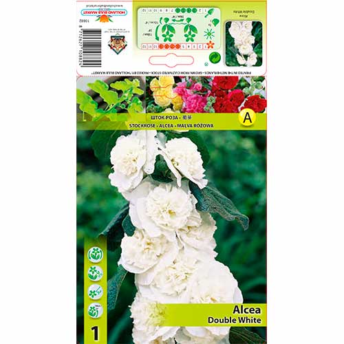 1 buc, Nalbă de grădină (Alcea) Double White - Bulbi: Mod de ambalare: 1 buc