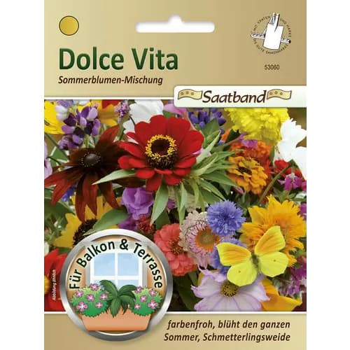 1 pac, Flori de vară Dolce Vita, mix multicolor - Semințe: Mod de ambalare: 1 pac
