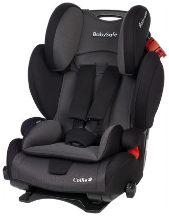 BabySafe Collie - fotelik samochodowy 9-36 kg-Szaro-Czarny