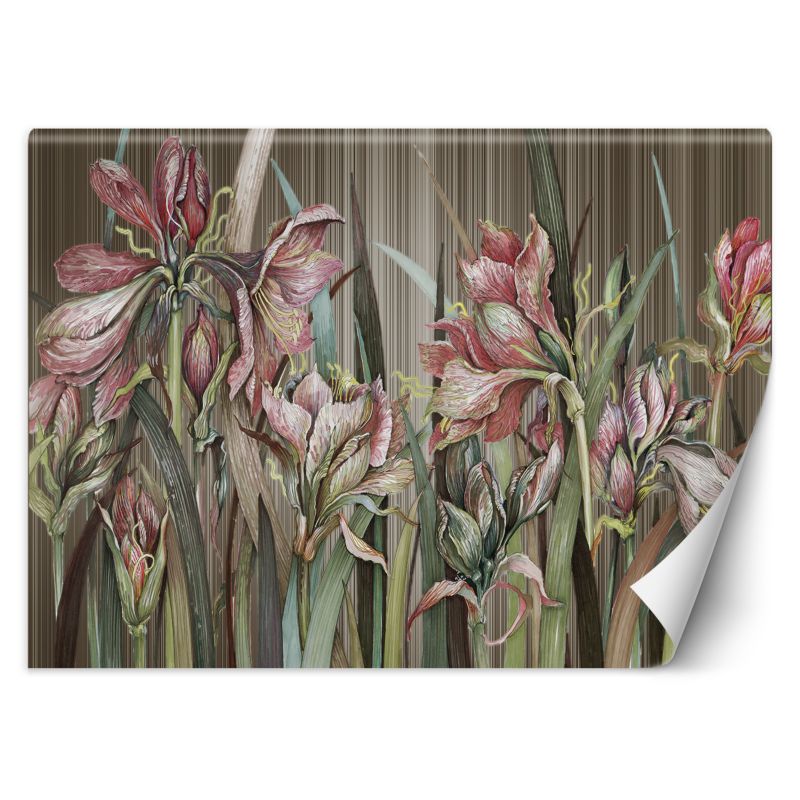 Fototapeta Feeby Kwiaty amarylisa 350x245 1 szt